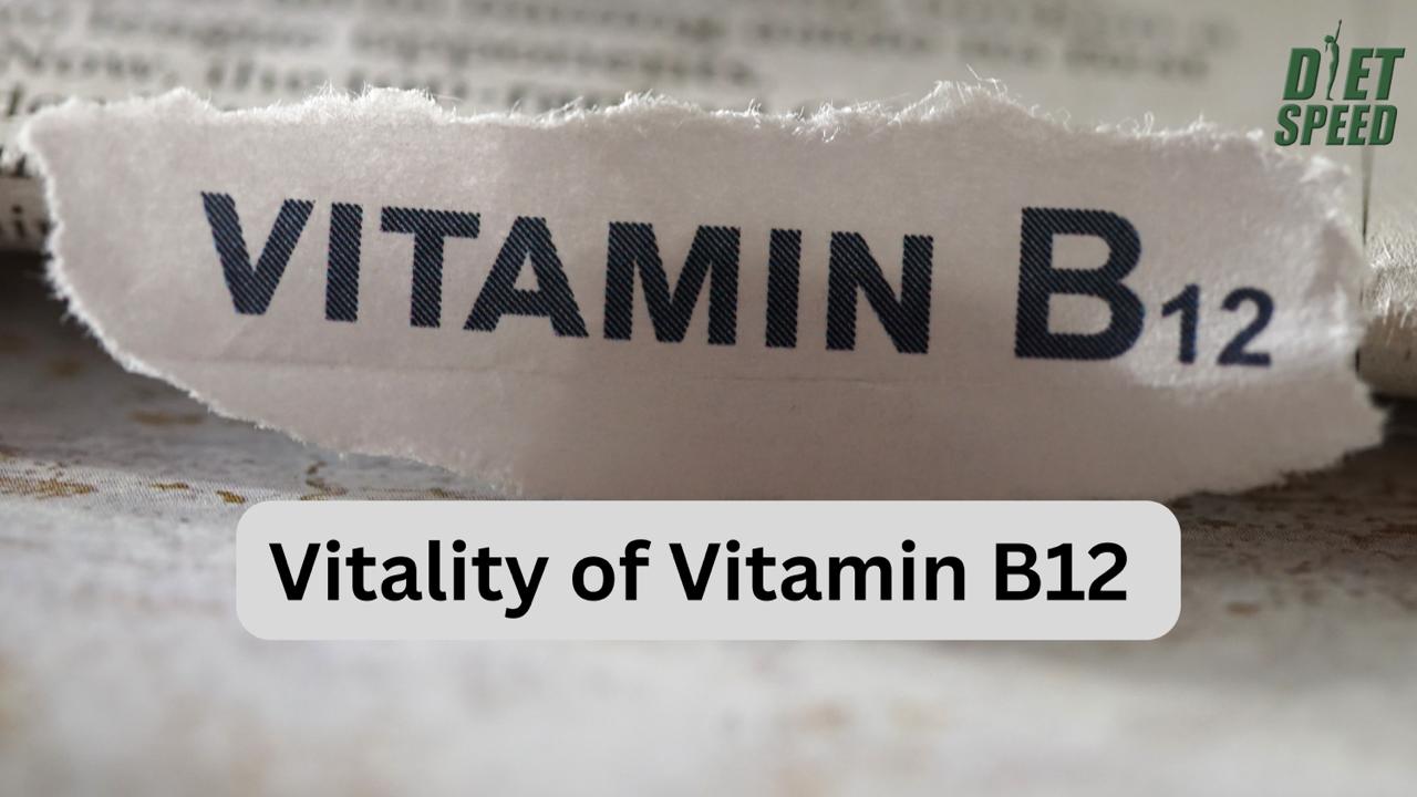VITALITY OF VITAMIN B12