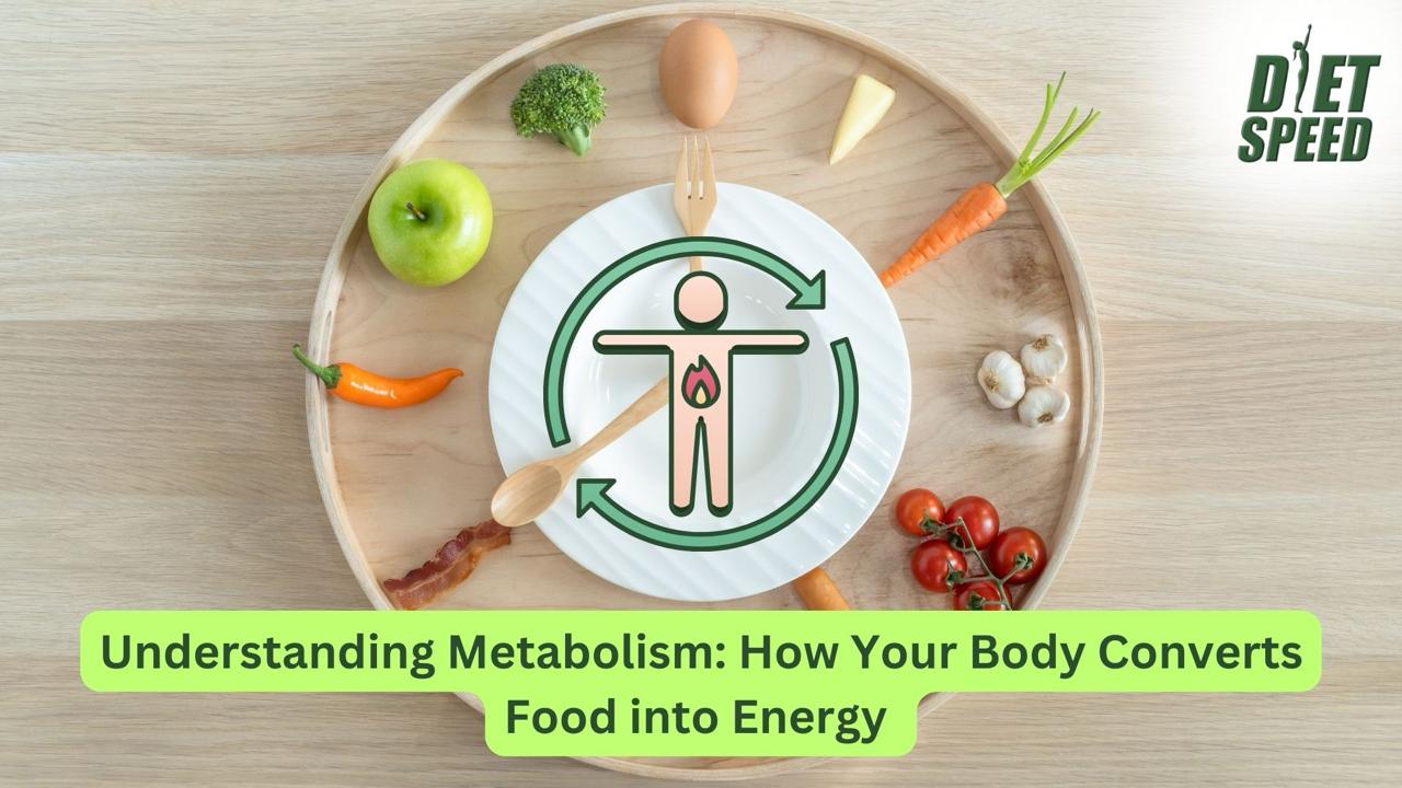 You are currently viewing Understanding Metabolism: The Process by Which Your Body Converts Food into Energy